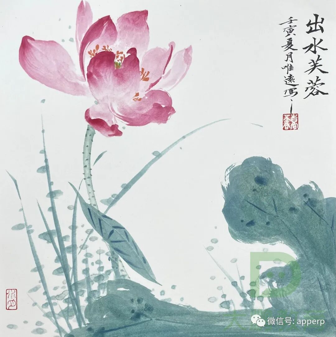 国画花鸟 <唯远案例>