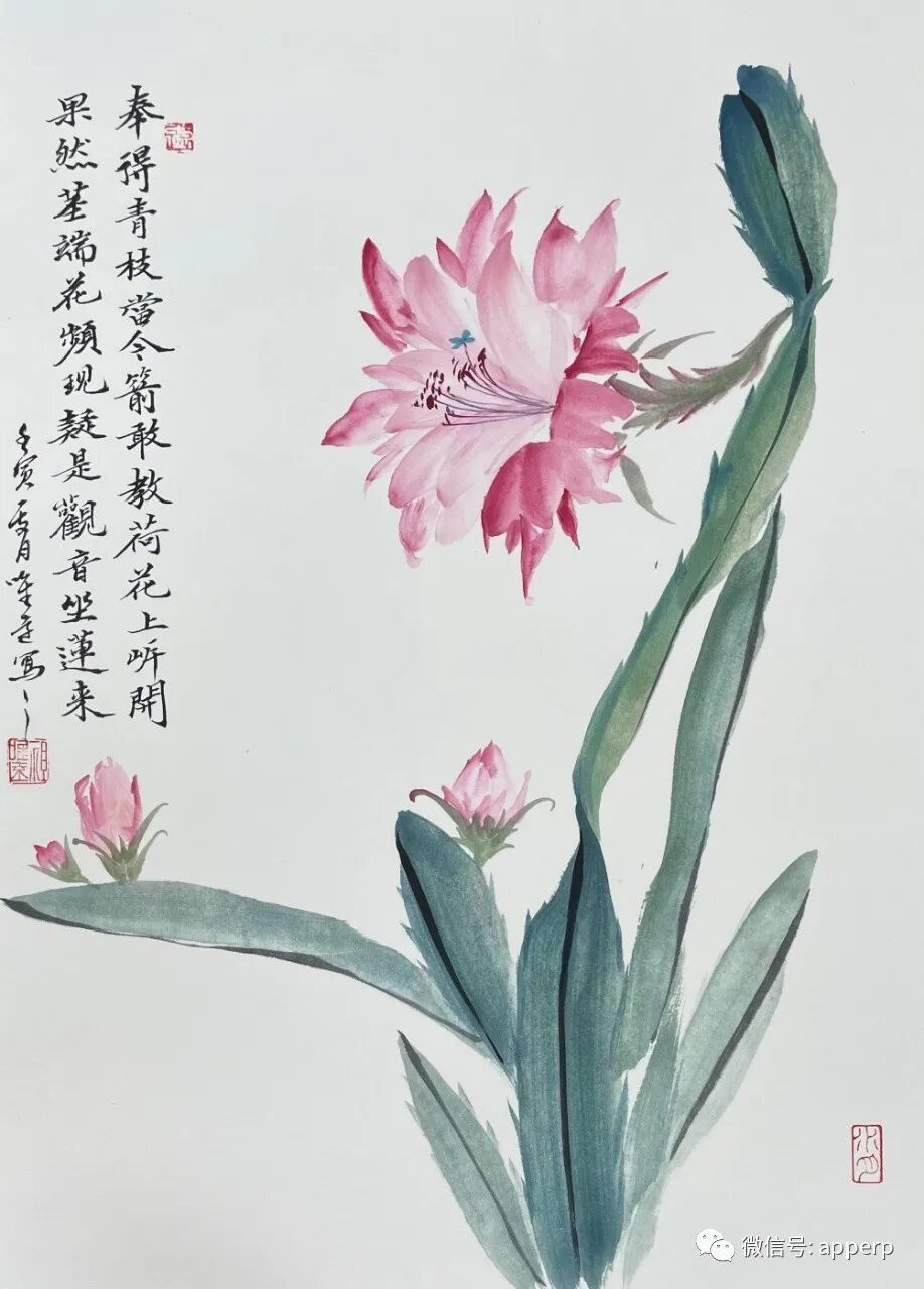 国画花鸟 <唯远案例>