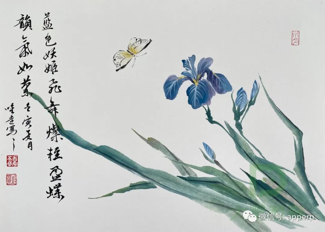 国画花鸟 <唯远案例>