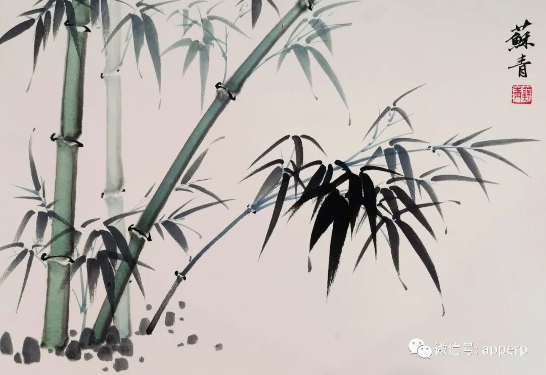 国画花鸟 <苏青案例>