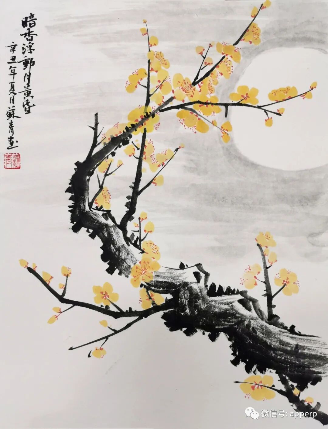 国画花鸟 <苏青案例>