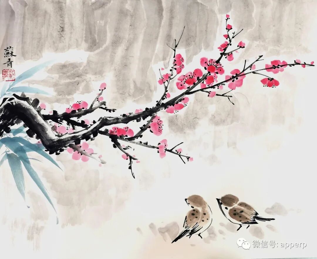 国画花鸟 <苏青案例>