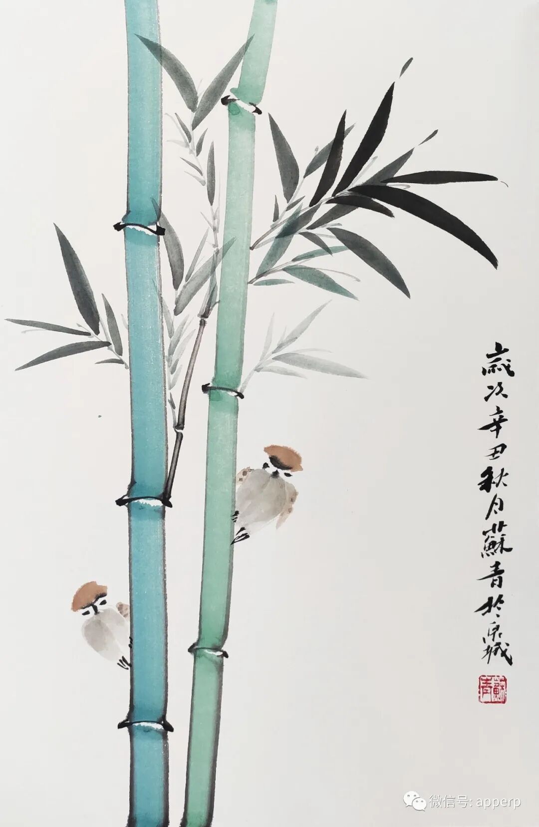 国画花鸟 <苏青案例>