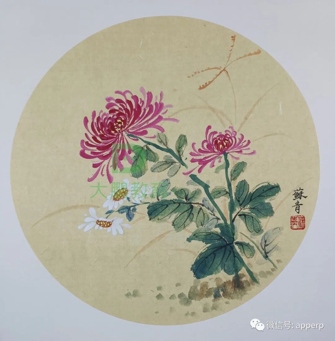 国画花鸟 <苏青案例>