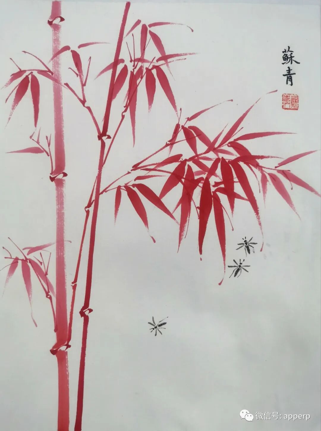 国画花鸟 <苏青案例>