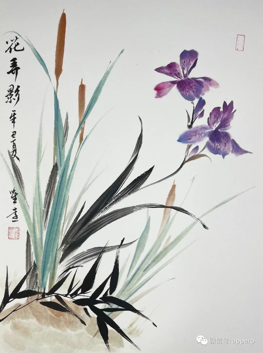 国画花鸟 <唯远案例>