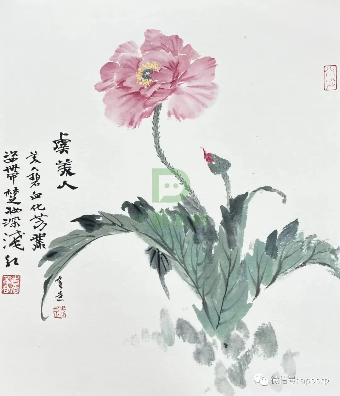 国画花鸟 <唯远案例>