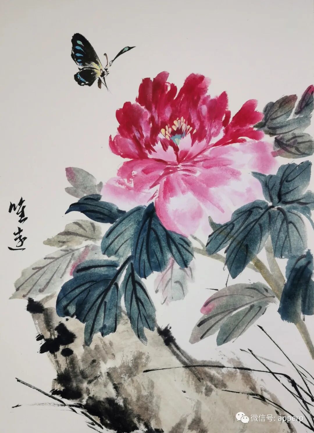 国画花鸟 <唯远案例>