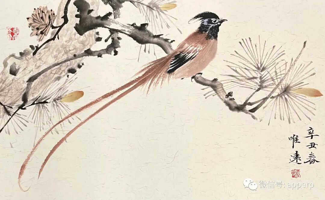 国画花鸟 <唯远案例>