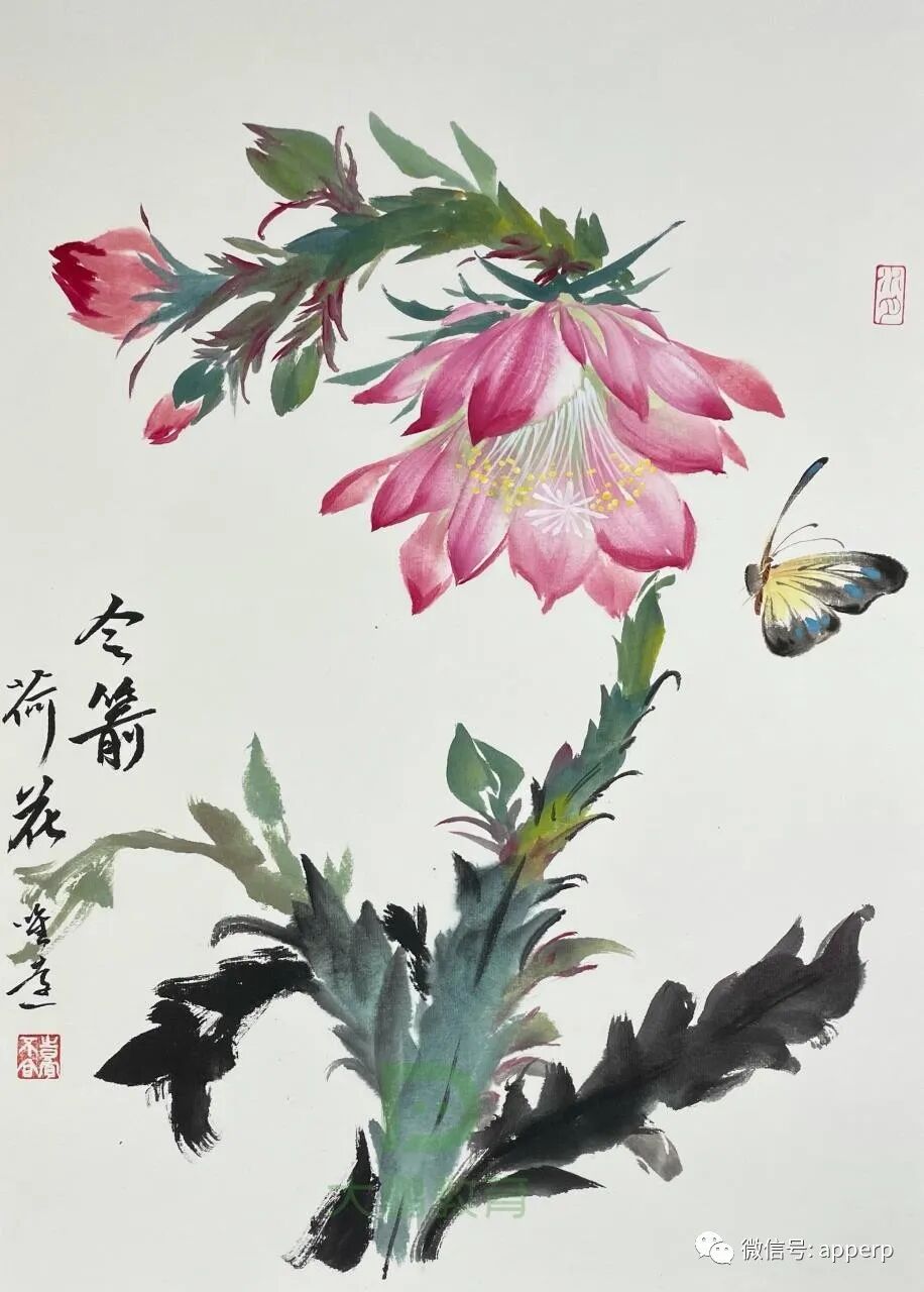 国画花鸟 <唯远案例>