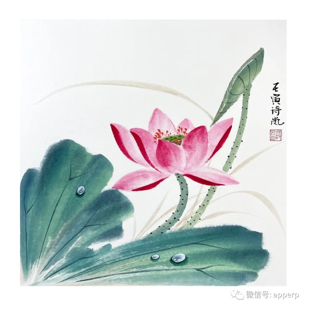 国画花鸟 <诗岚案例>