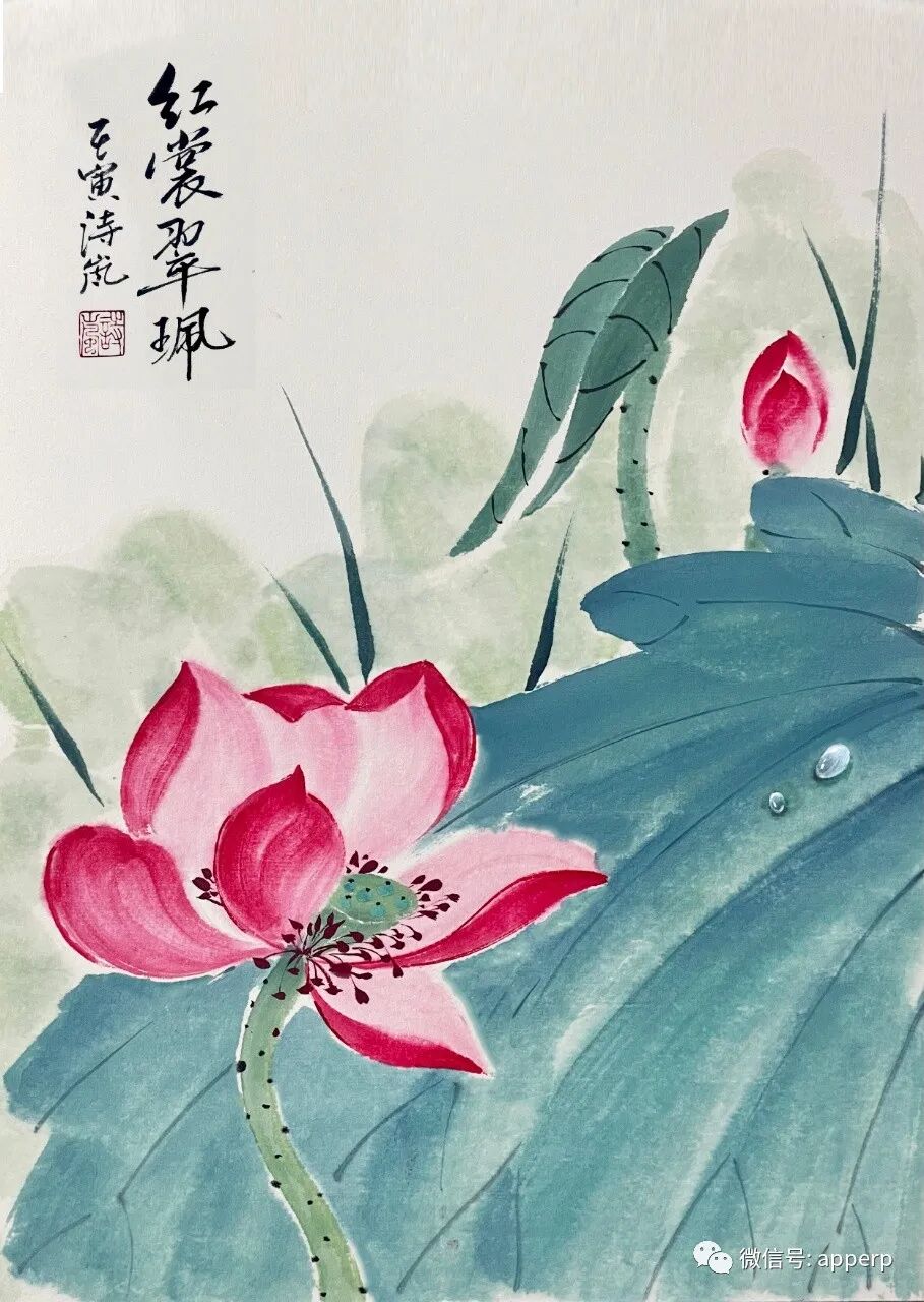 国画花鸟 <诗岚案例>