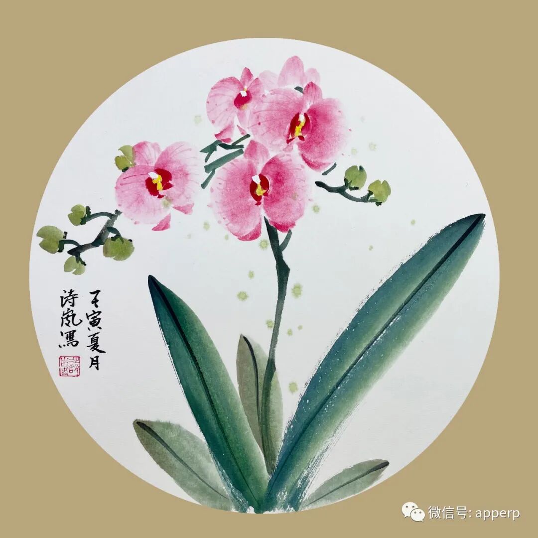 国画花鸟 <诗岚案例>