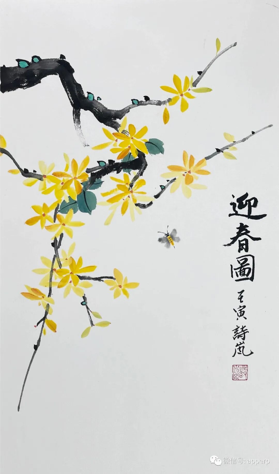 国画花鸟 <诗岚案例>