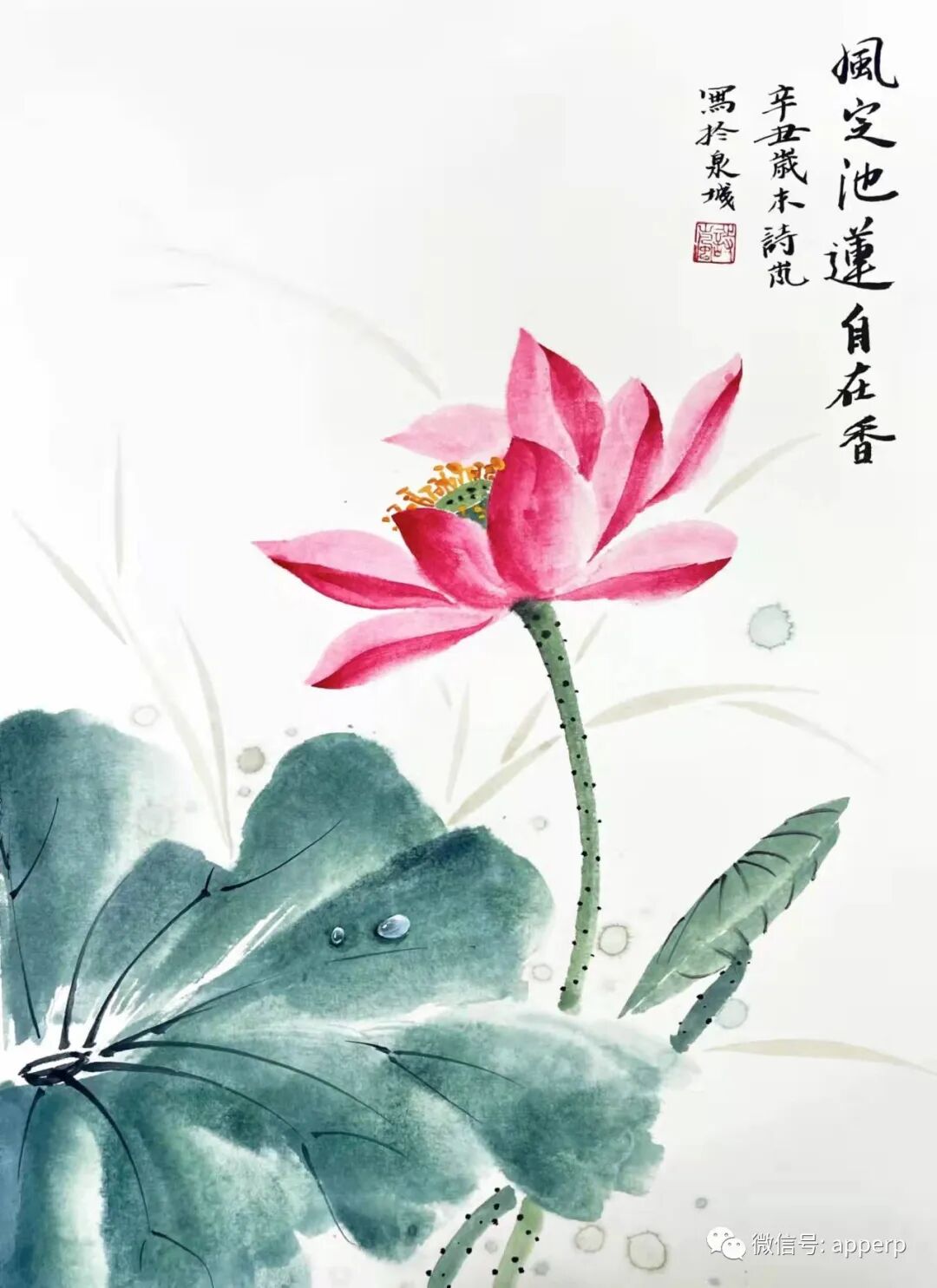 国画花鸟 <诗岚案例>