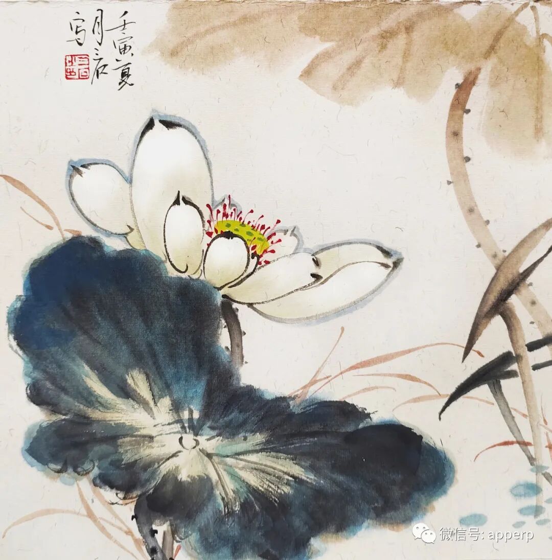 国画花鸟 <大潘案例>