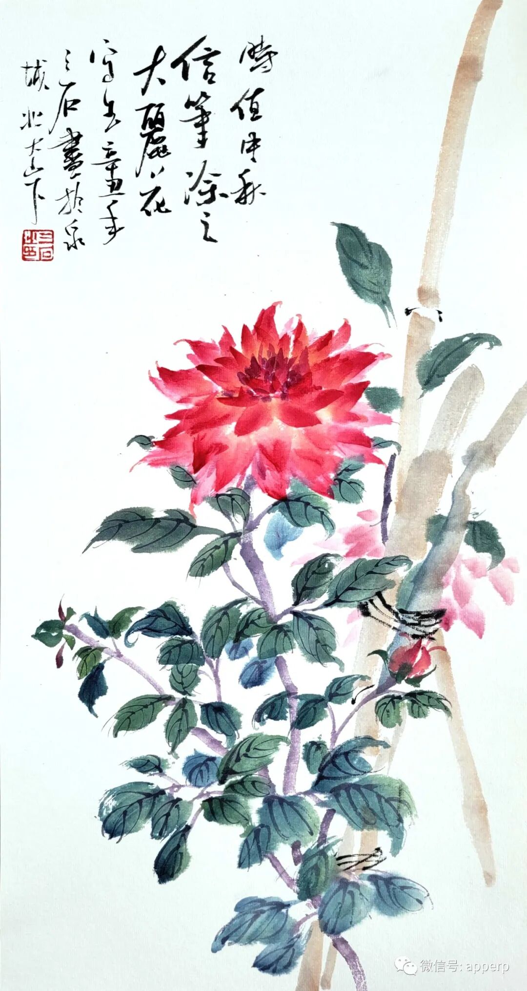 国画花鸟 <大潘案例>