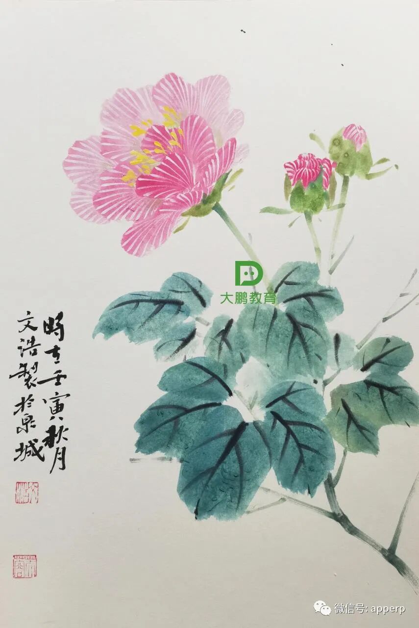 国画花鸟 <文浩案例>