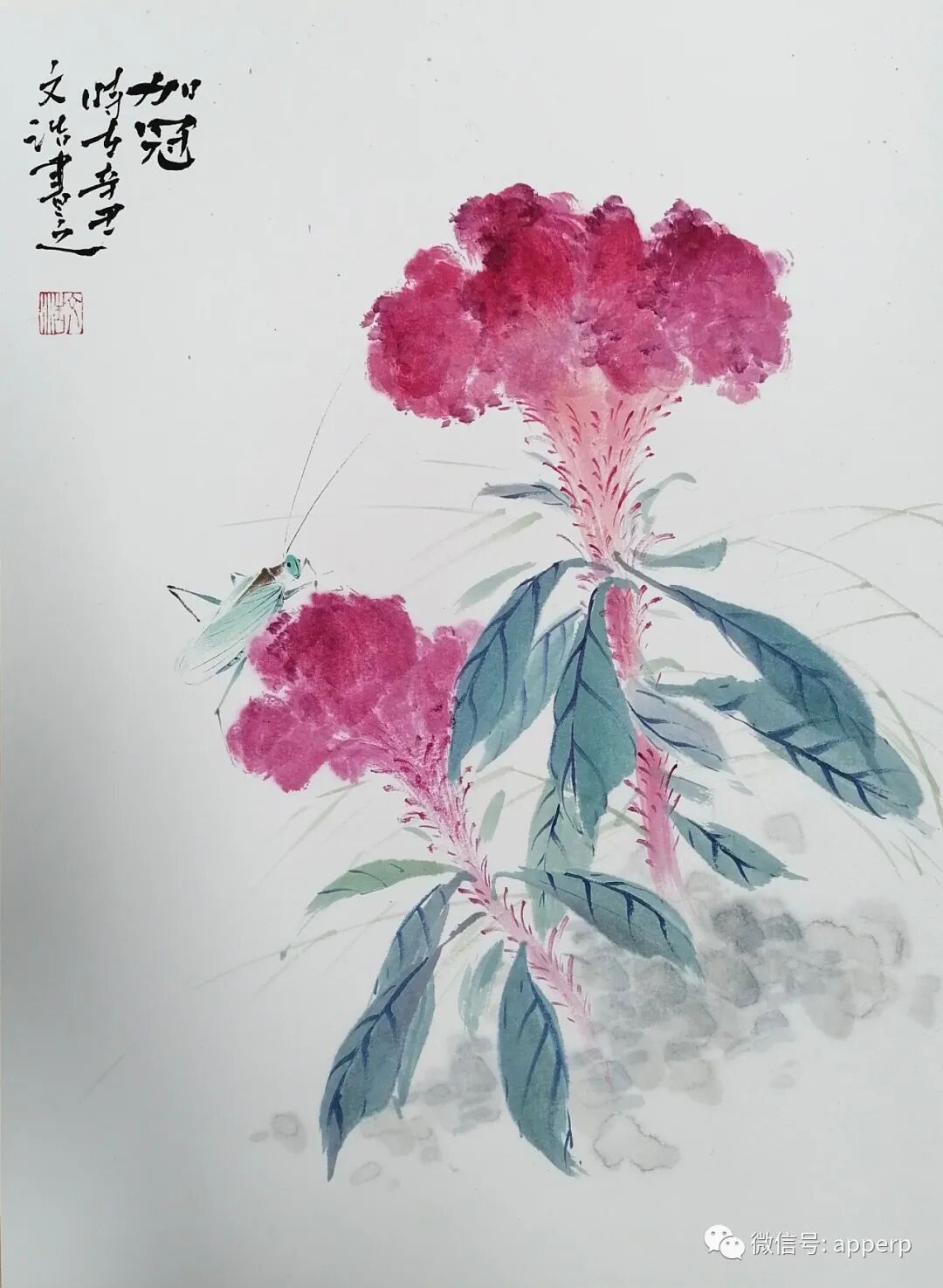 国画花鸟 <文浩案例>