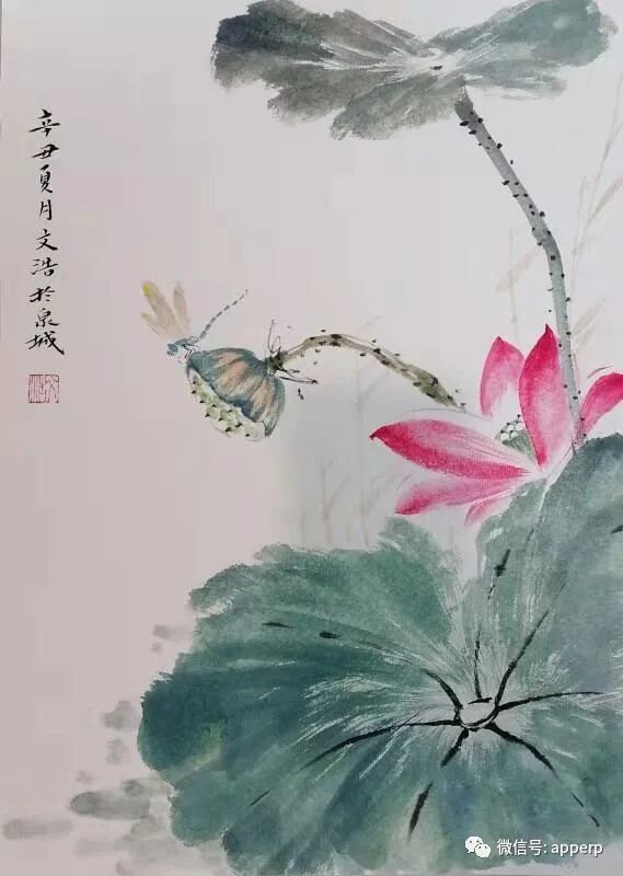 国画花鸟 <文浩案例>