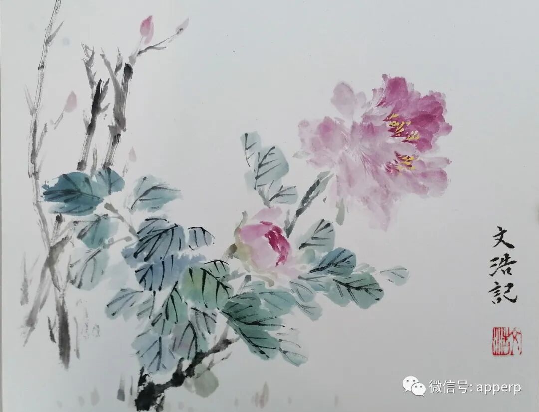 国画花鸟 <文浩案例>