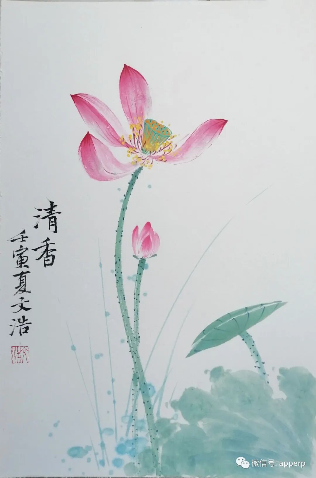 国画花鸟 <文浩案例>