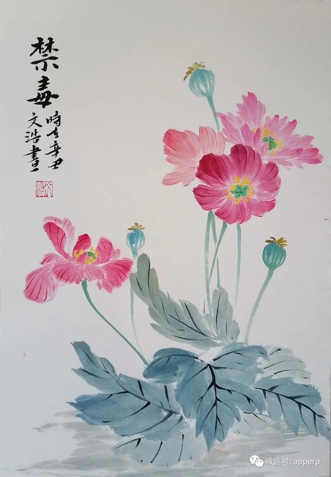 国画花鸟 <文浩案例>