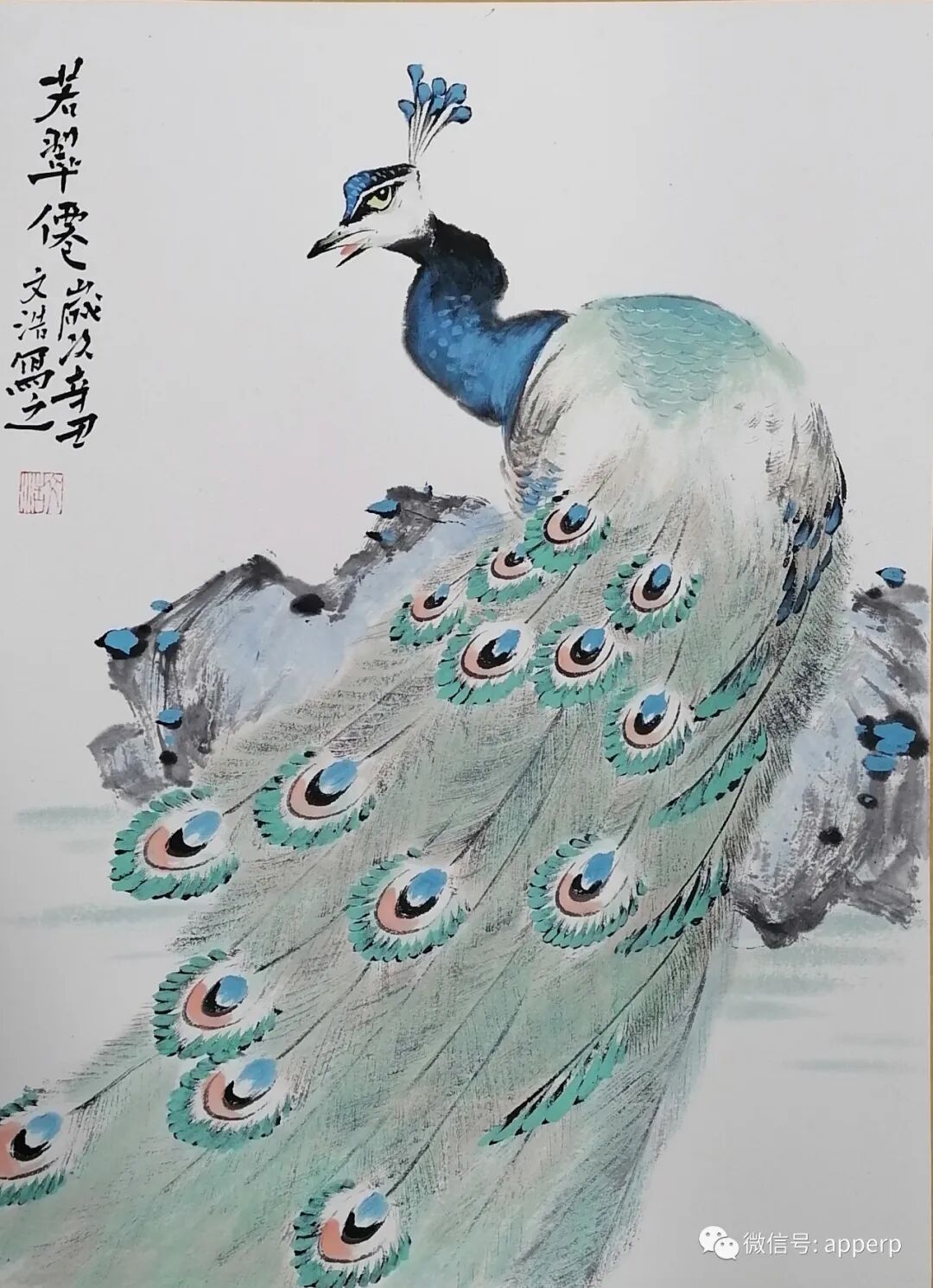 国画花鸟 <文浩案例>