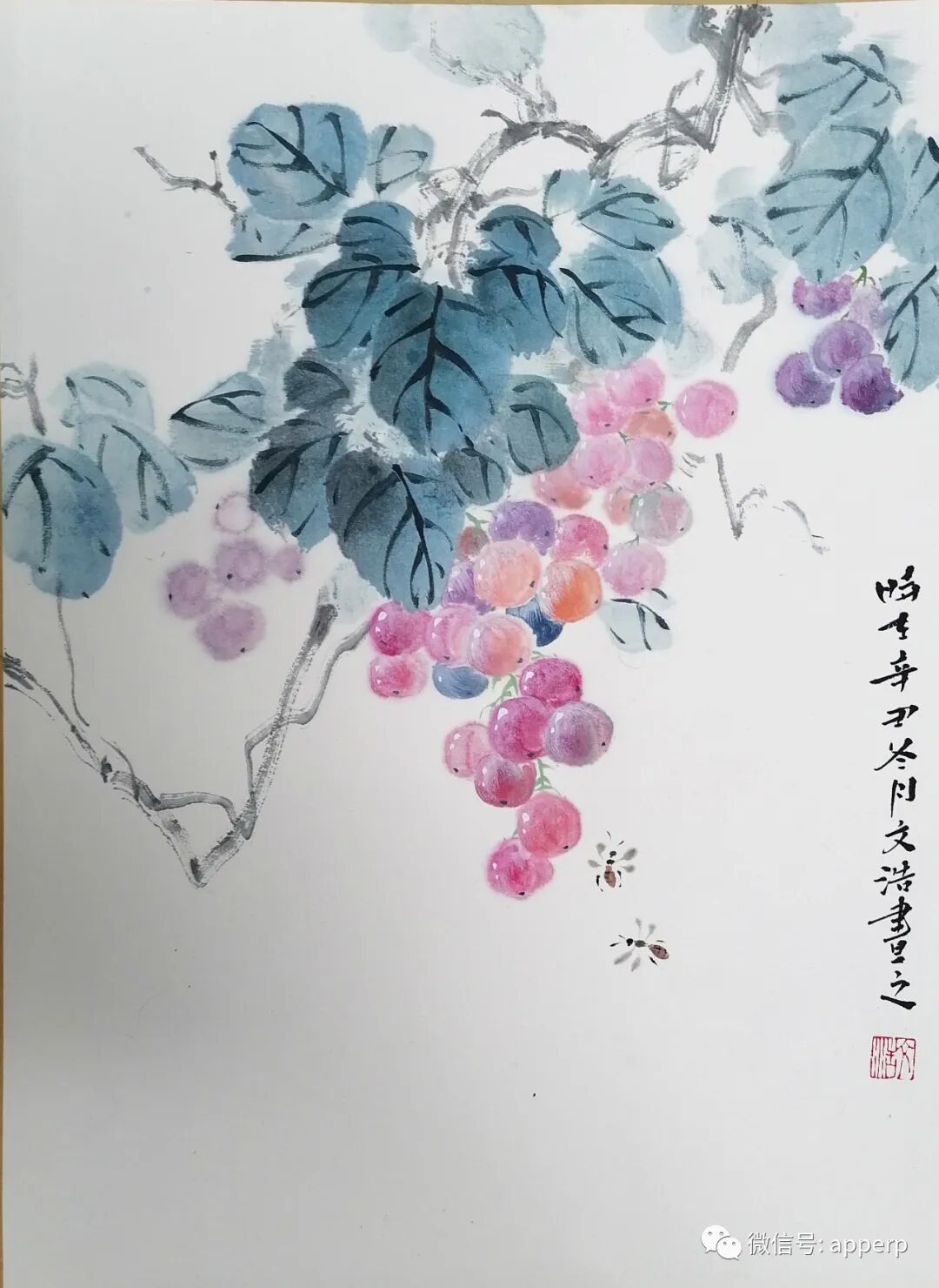 国画花鸟 <文浩案例>