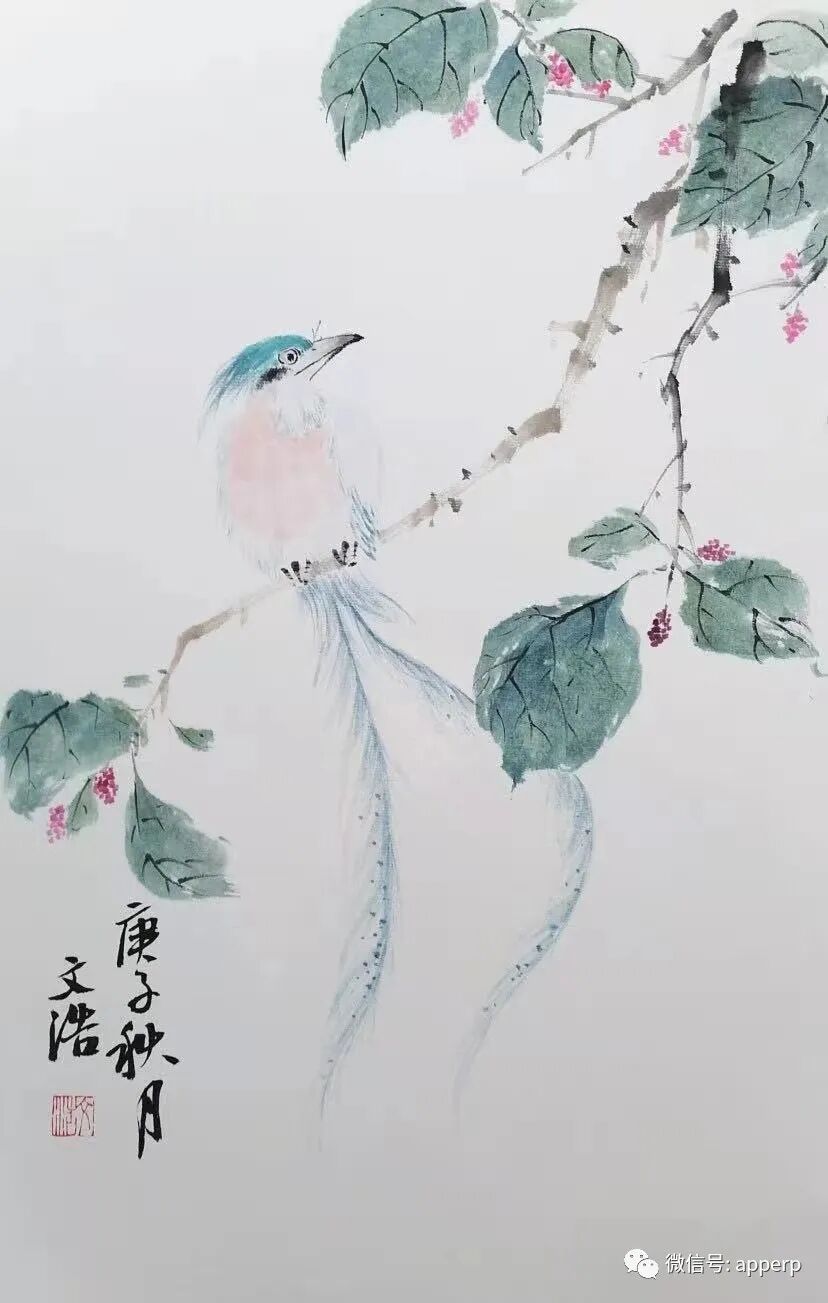 国画花鸟 <文浩案例>