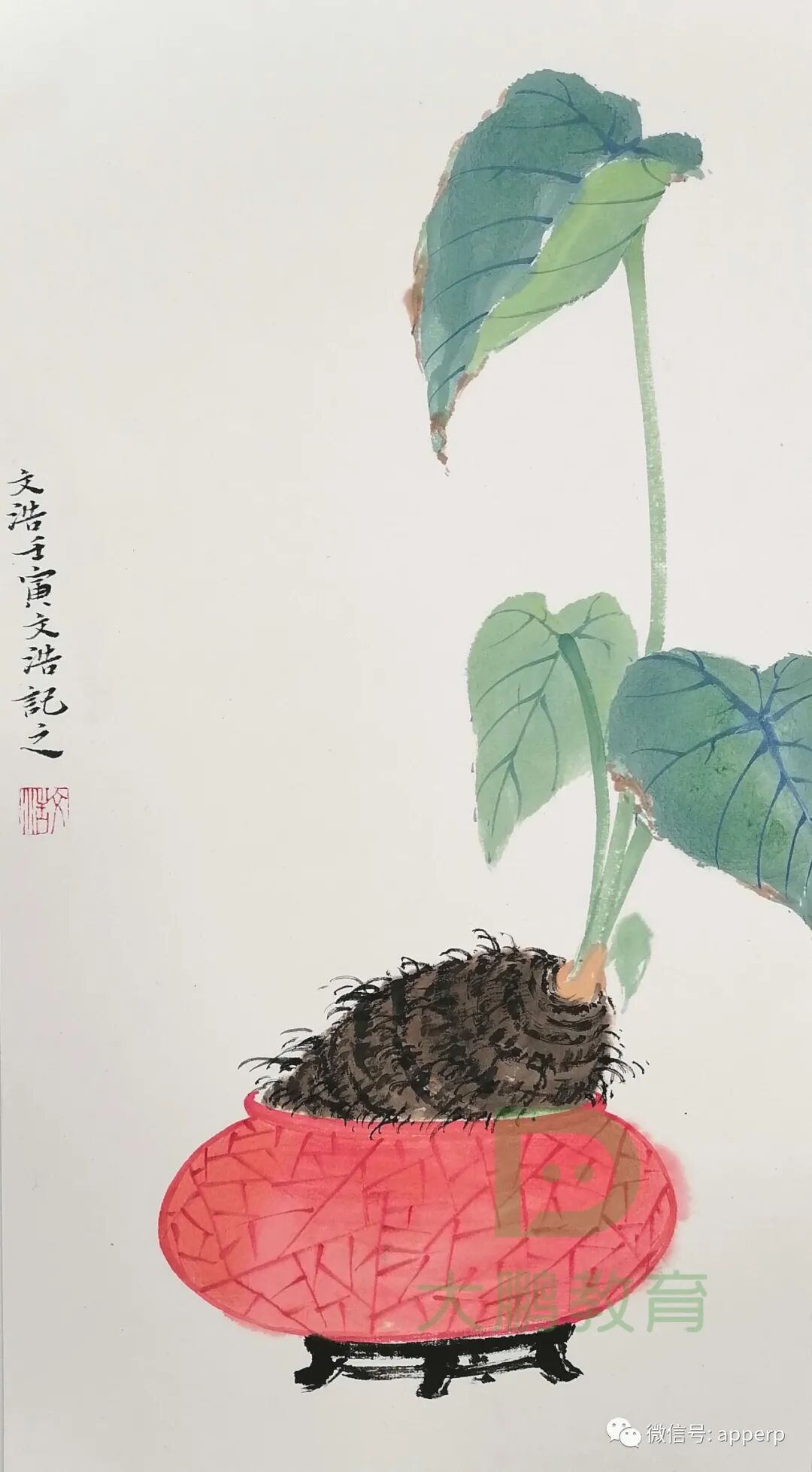 国画花鸟 <文浩案例>