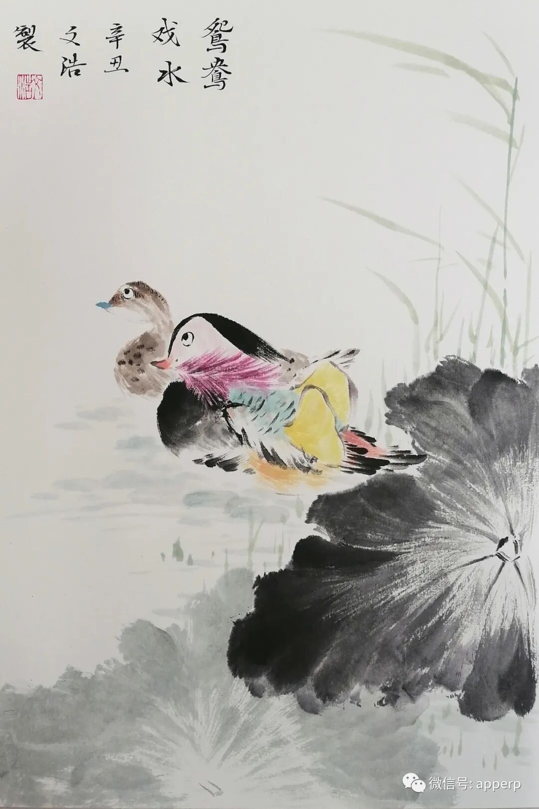 国画花鸟 <文浩案例>