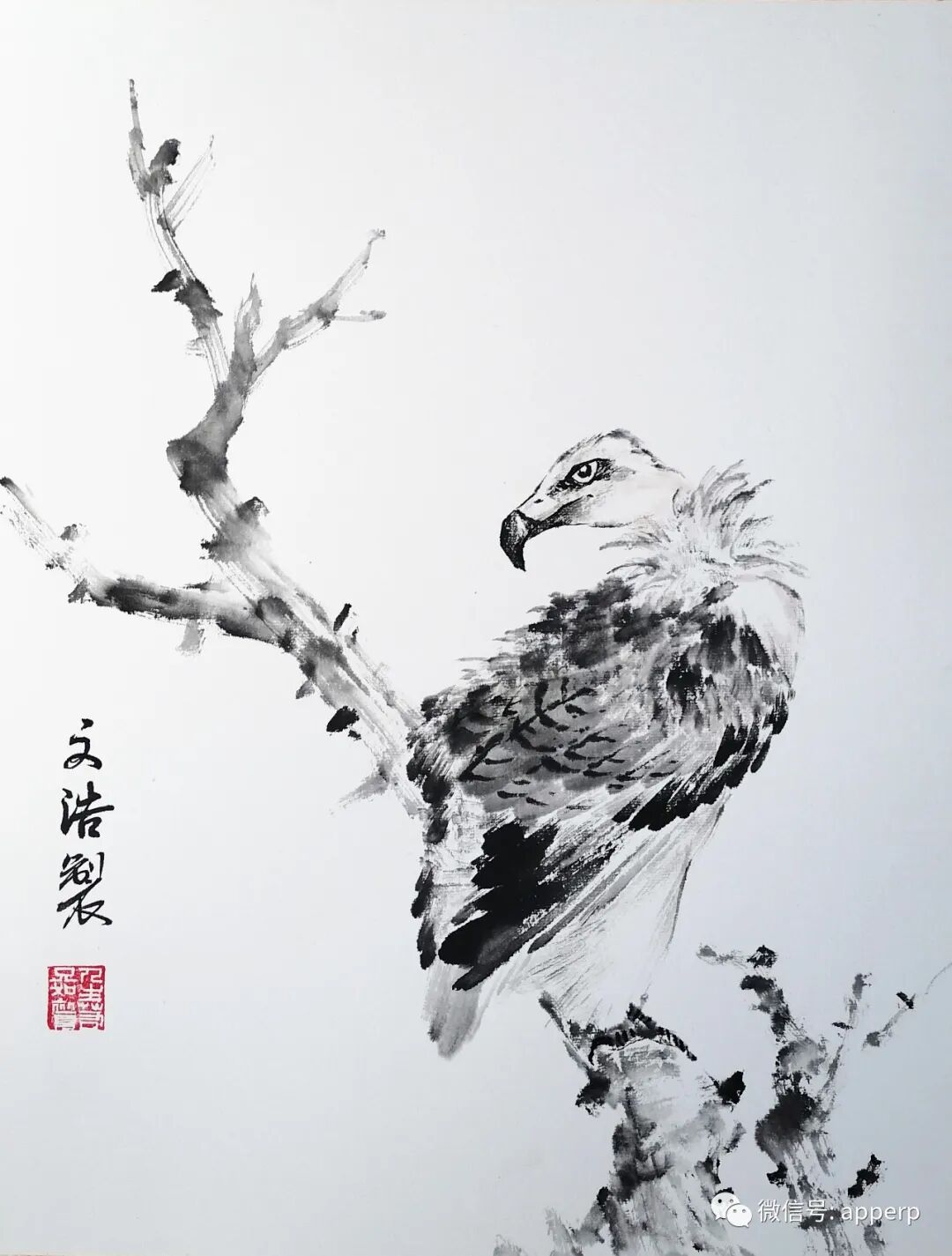 国画花鸟 <文浩案例>