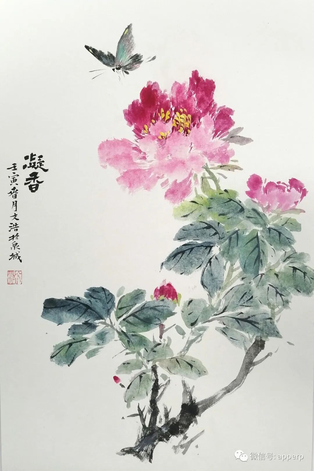 国画花鸟 <文浩案例>