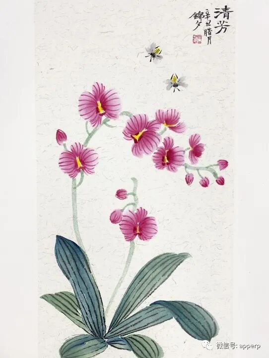 国画花鸟 <锦夕案例>