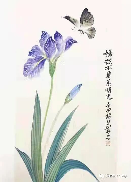 国画花鸟 <锦夕案例>