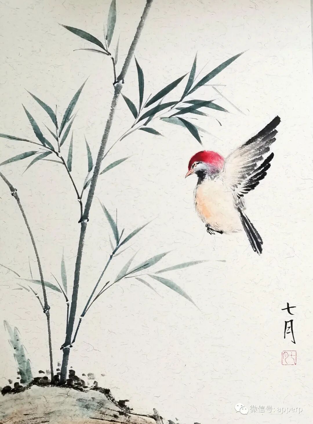 国画花鸟 <七月案例>