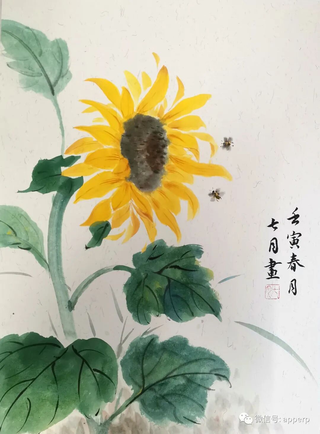国画花鸟 <七月案例>