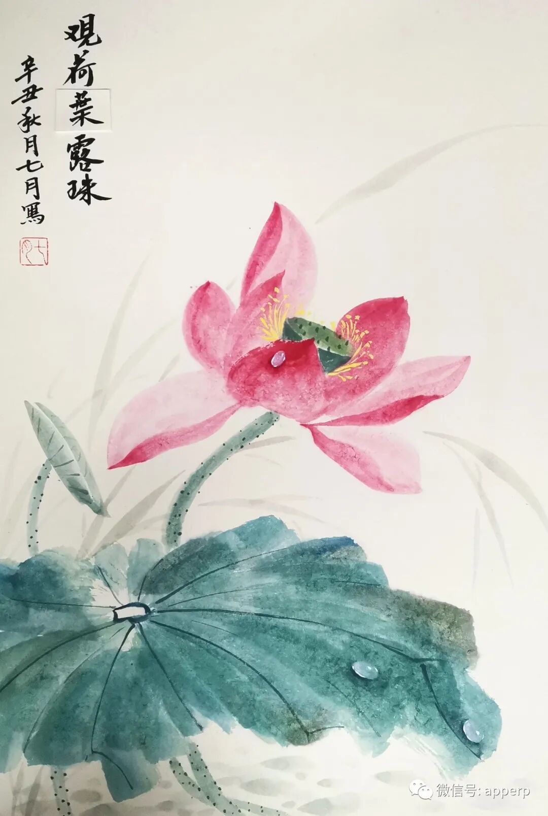 国画花鸟 <七月案例>