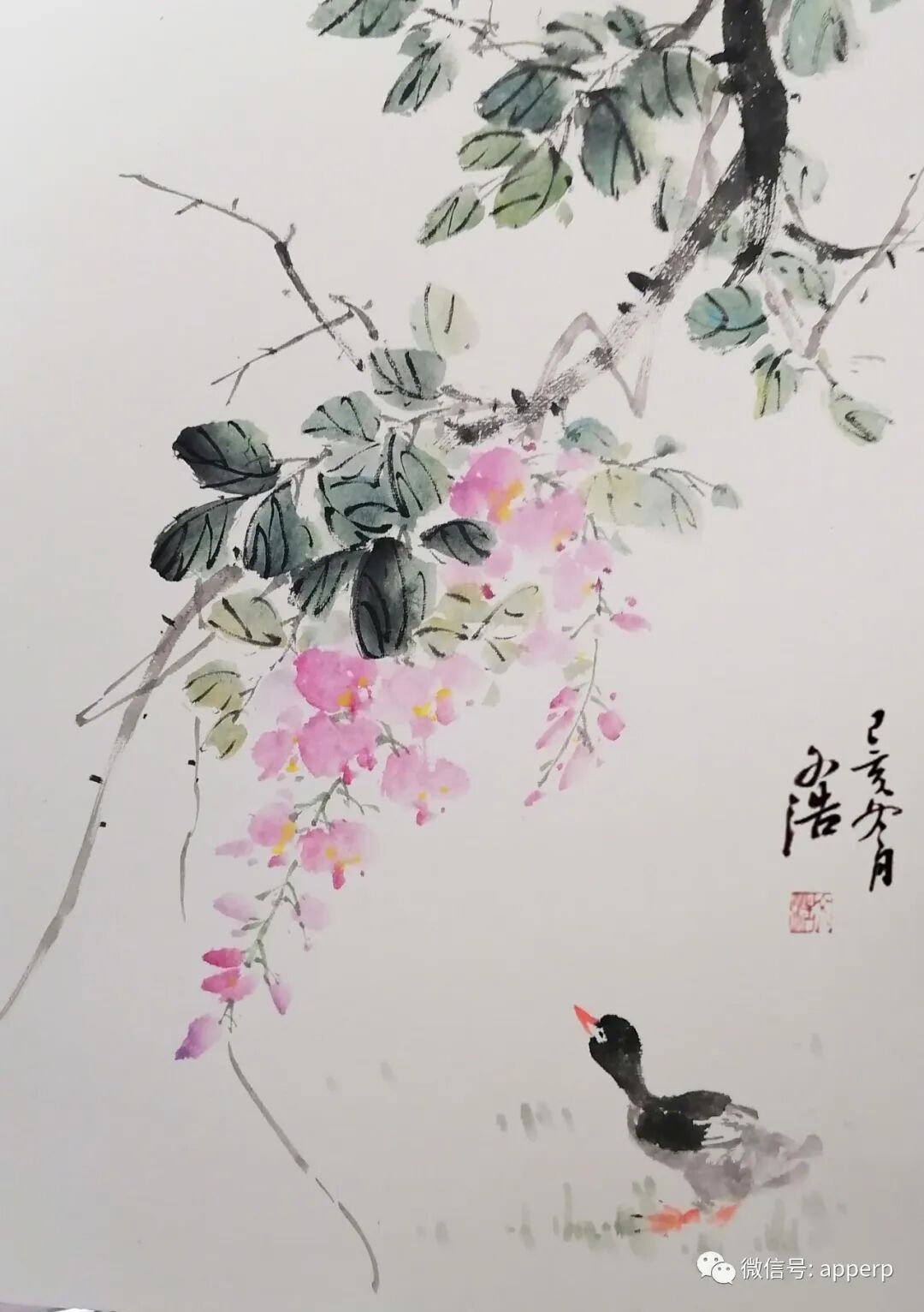 国画花鸟 <文浩案例>