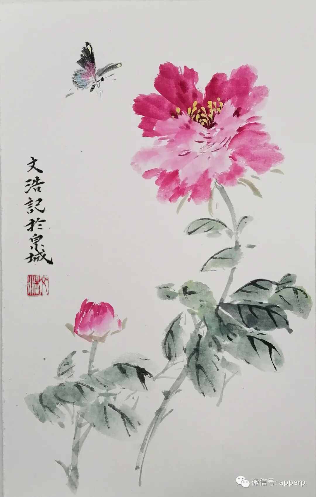 国画花鸟 <文浩案例>