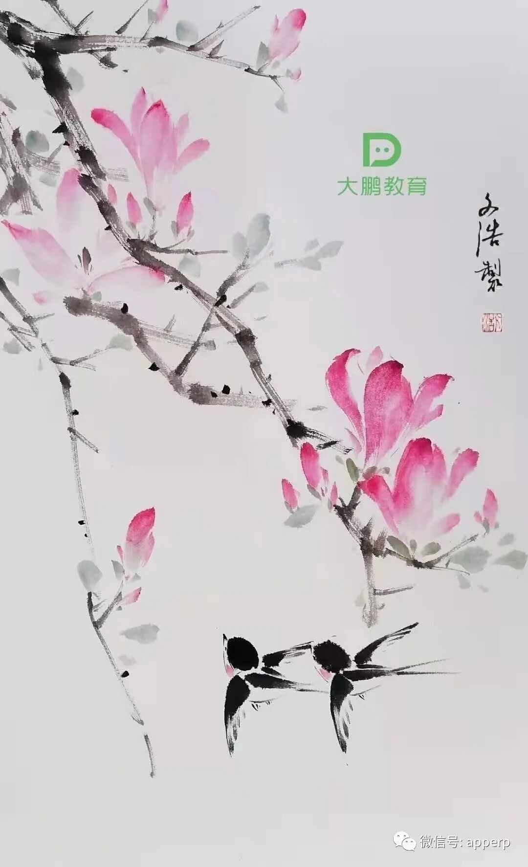 国画花鸟 <文浩案例>
