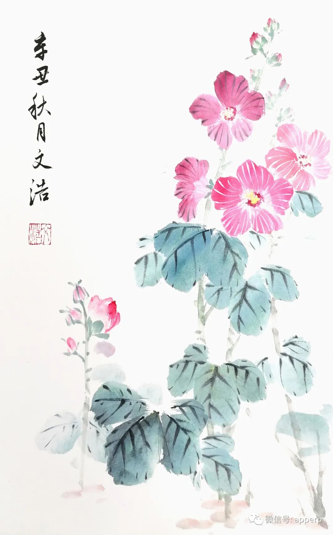 国画花鸟 <文浩案例>