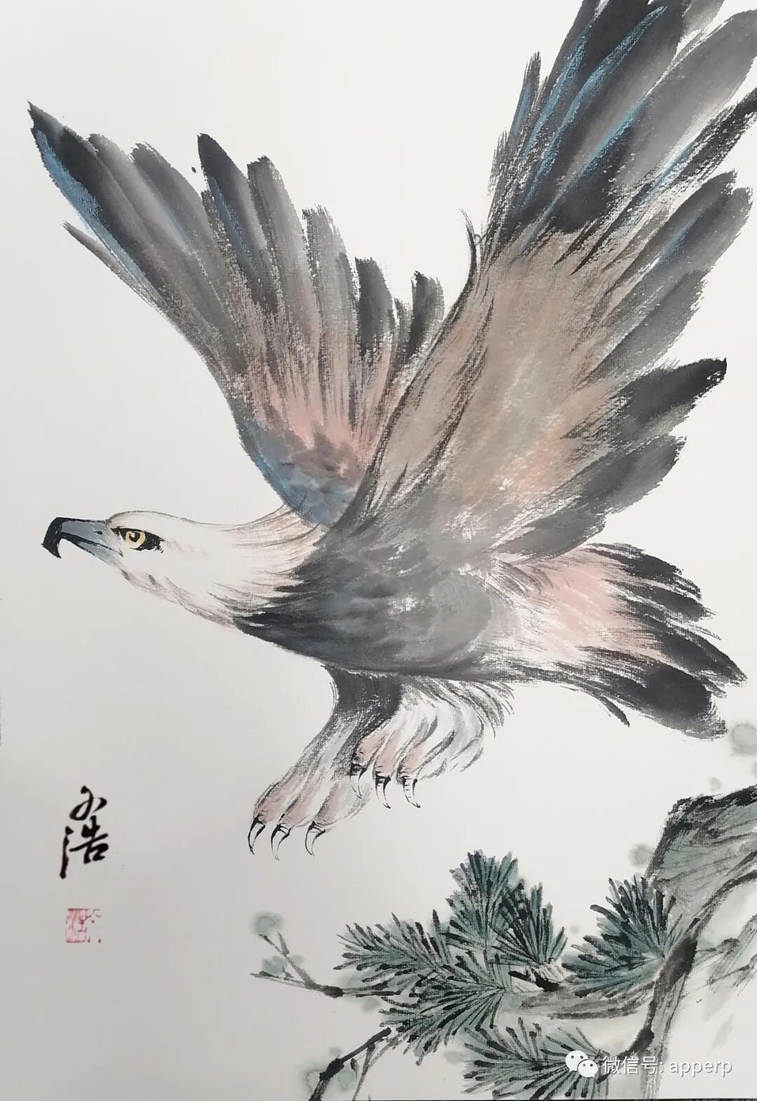 国画花鸟 <文浩案例>