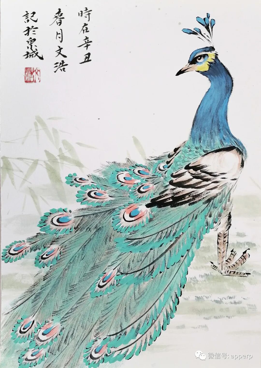 国画花鸟 <文浩案例>