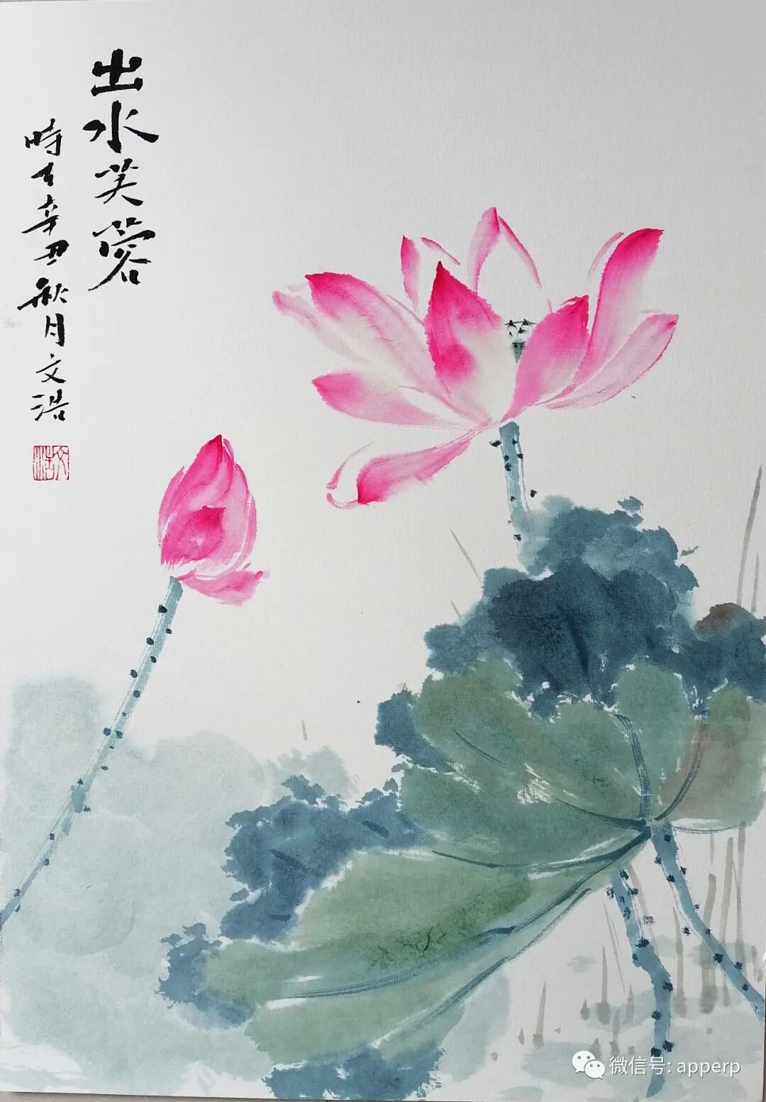 国画花鸟 <文浩案例>