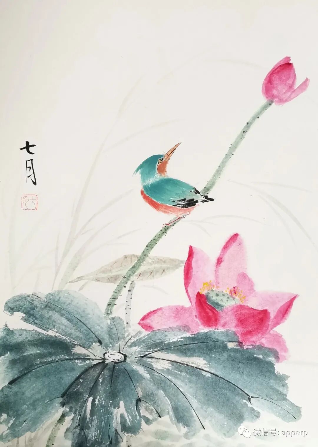 国画花鸟 <七月案例>