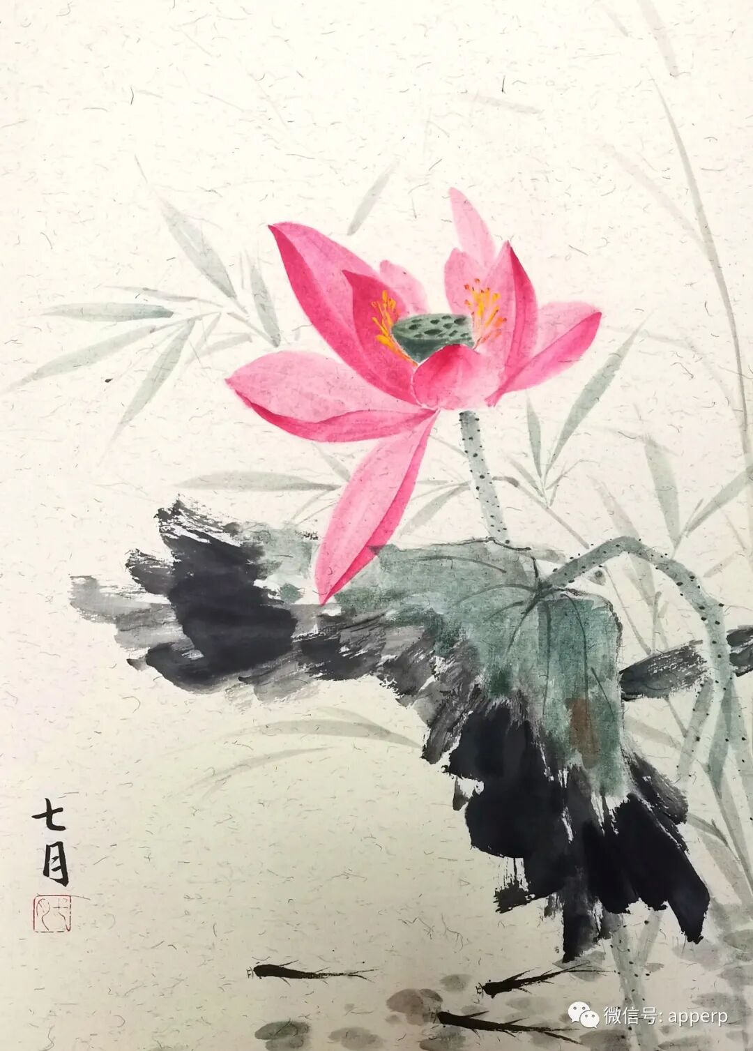 国画花鸟 <七月案例>