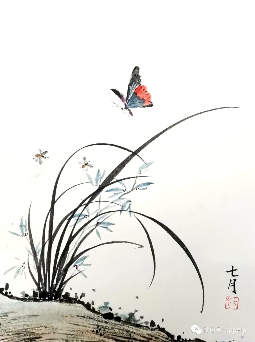 国画花鸟 <七月案例>