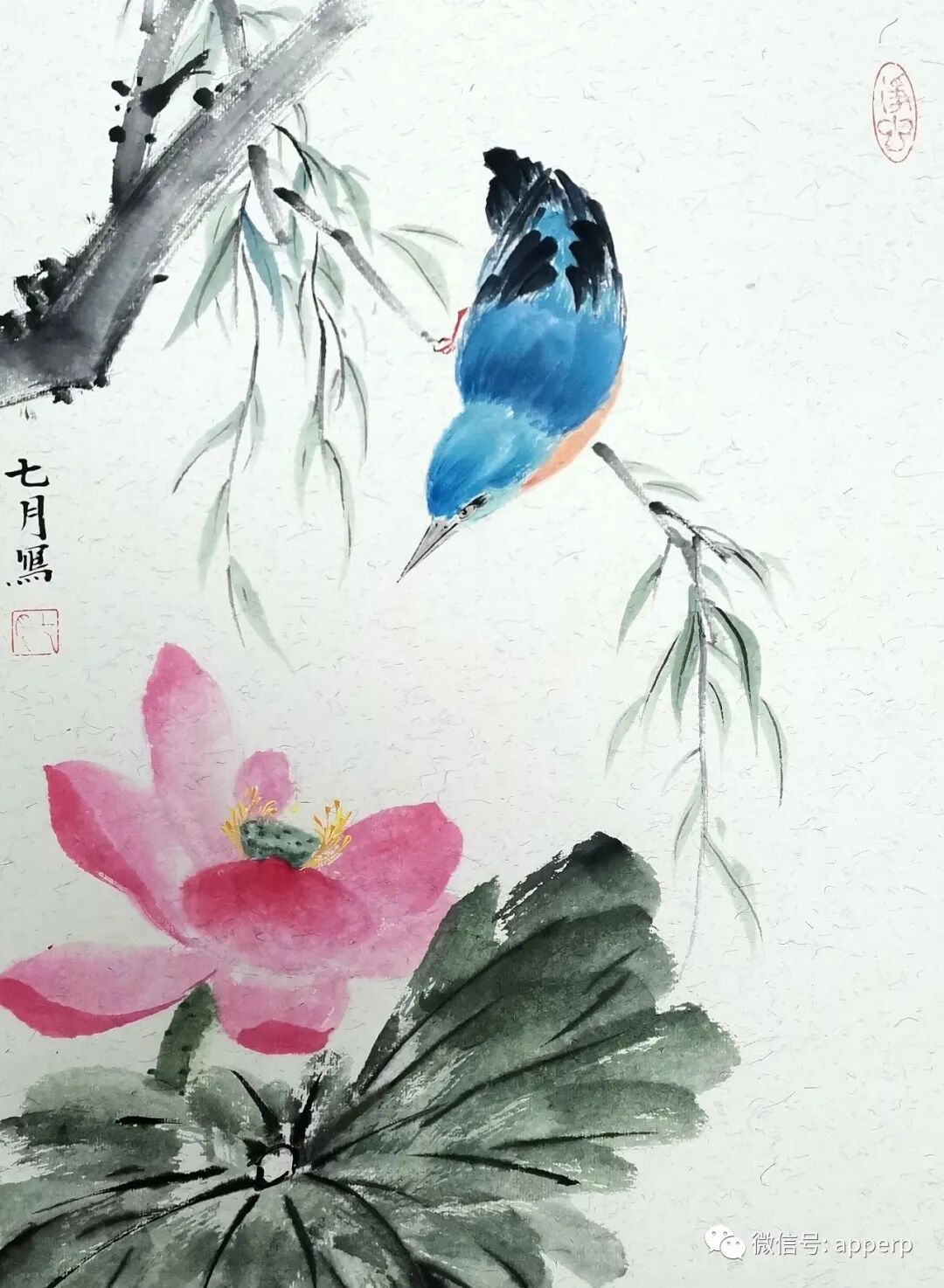 国画花鸟 <七月案例>